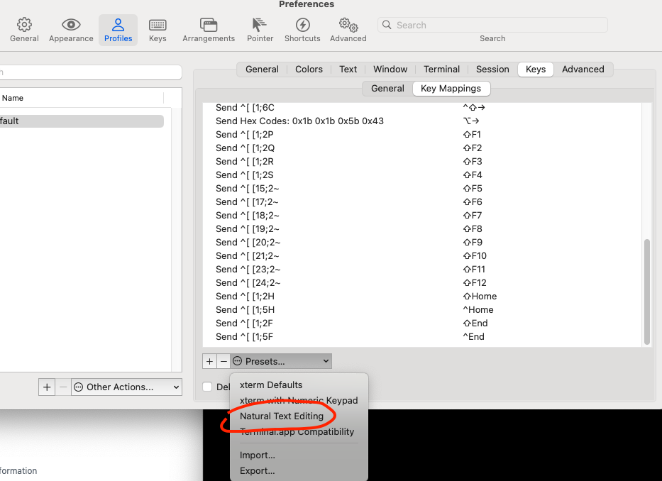 Screenshot of the iTerm2 setting for shortcut to jump around